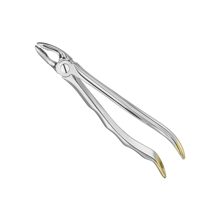 Extracting forceps, anat.